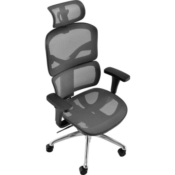 Interion Ergonomic Mesh Task Chair Wayfair